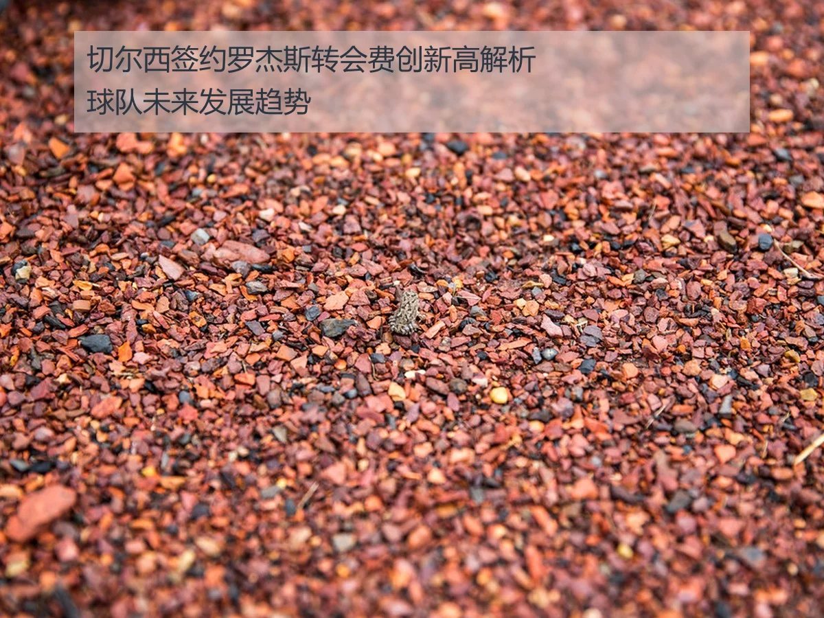 切尔西签约罗杰斯转会费创新高解析球队未来发展趋势